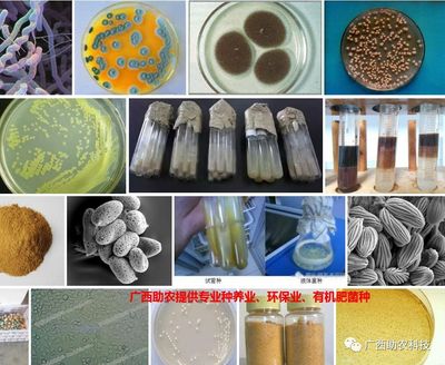 南寧微瑞生物科技 聚焦前沿科技，驅動健康未來