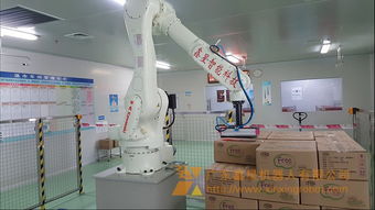 包裝機(jī)器人碼垛機(jī)